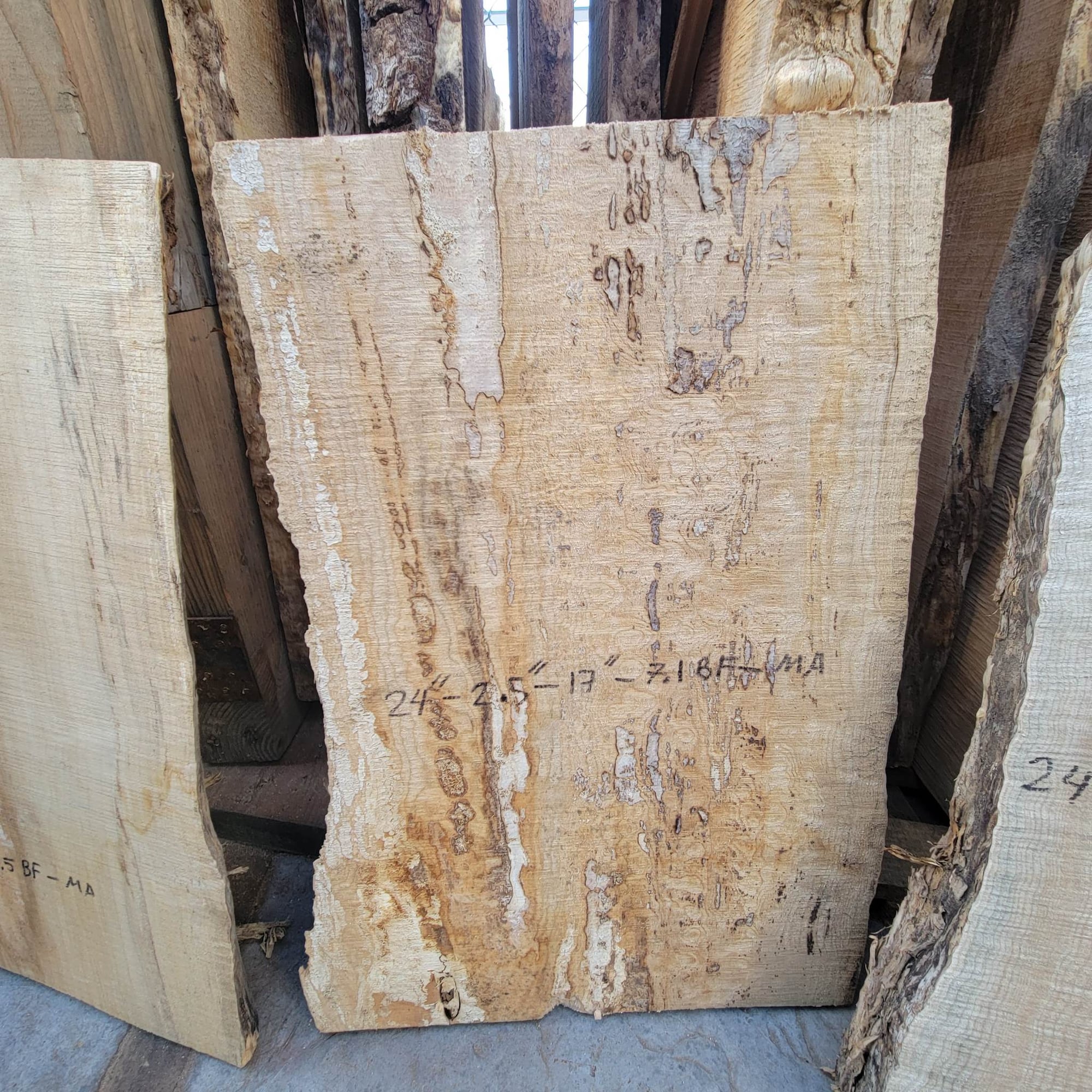 Big Leaf Maple